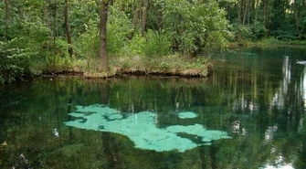 Czy Niebieskie źródła zostaną jednym z cudów Polski?