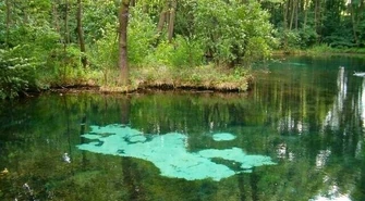 Tomaszowskie źródła Nowym Cudem Polski?