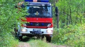 Zauważyłeś gniazdo owadów – wezwij straż pożarną