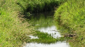 Tragedia nad Wartą niczego nie nauczyła