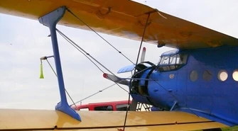 12 „Antków” szczepi lisy