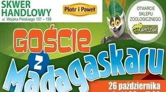 Goście z Madagaskaru