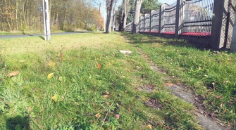 Na nowy chodnik pieniędzy nie ma