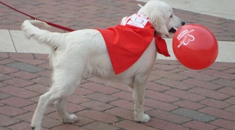 Zainaugurowali Szlachetną Paczkę