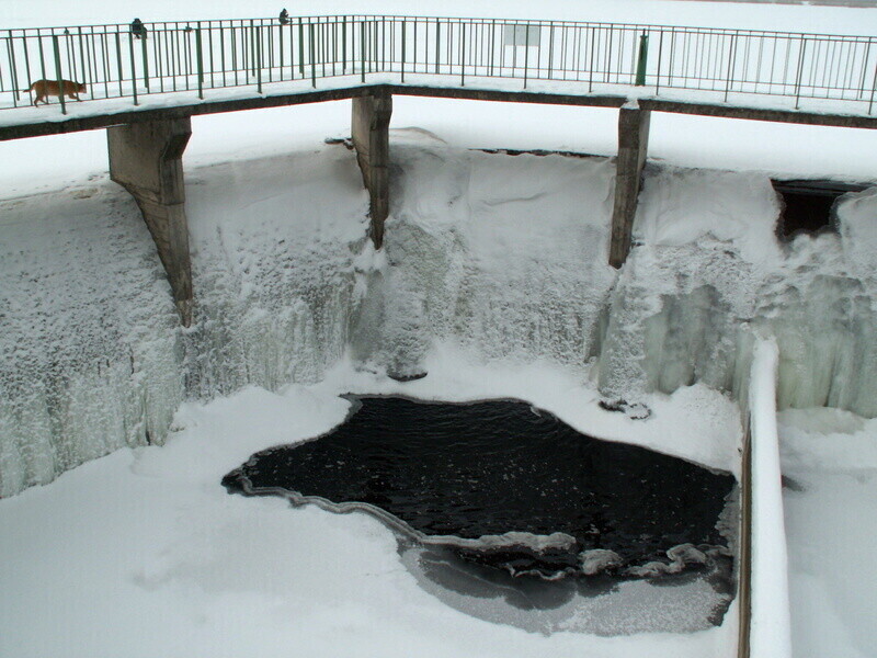 Zdjęcie 2: Zima na razie wyjątkowo łaskawa