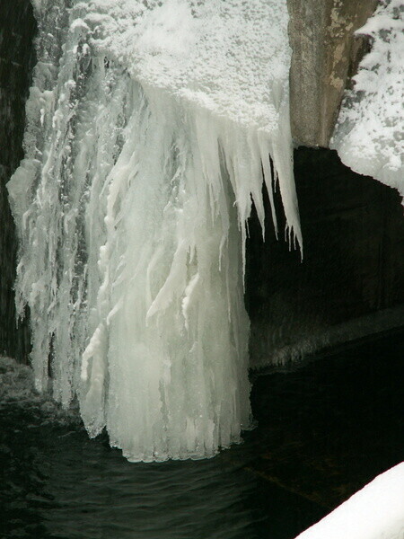 Zdjęcie 4: Zima na razie wyjątkowo łaskawa