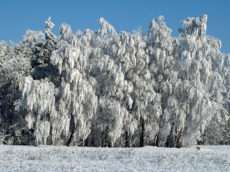 Zdjęcie 2: Zima potrafi być piękna