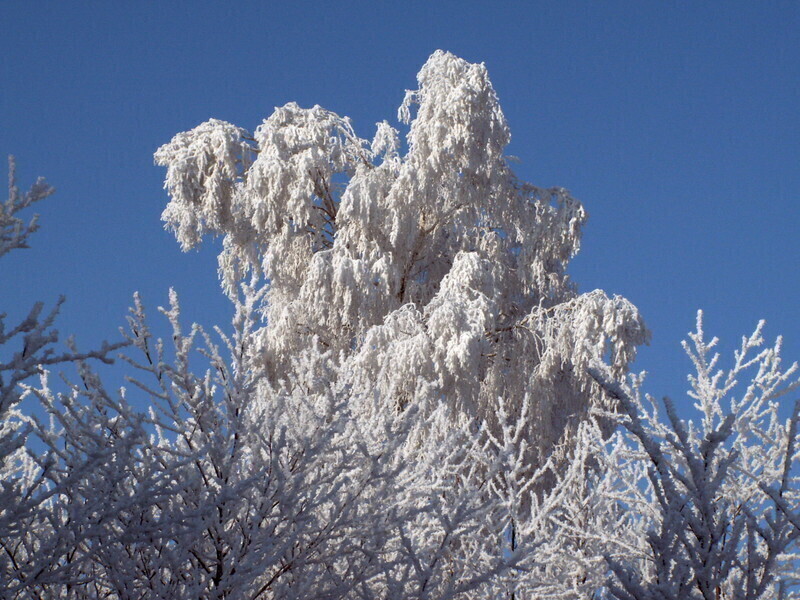 Zdjęcie 3: Zima potrafi być piękna