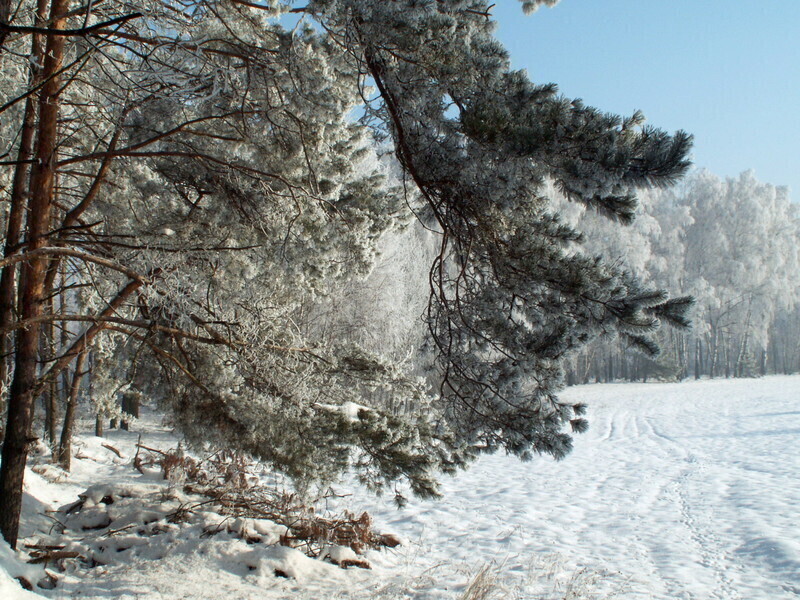 Zdjęcie 4: Zima potrafi być piękna