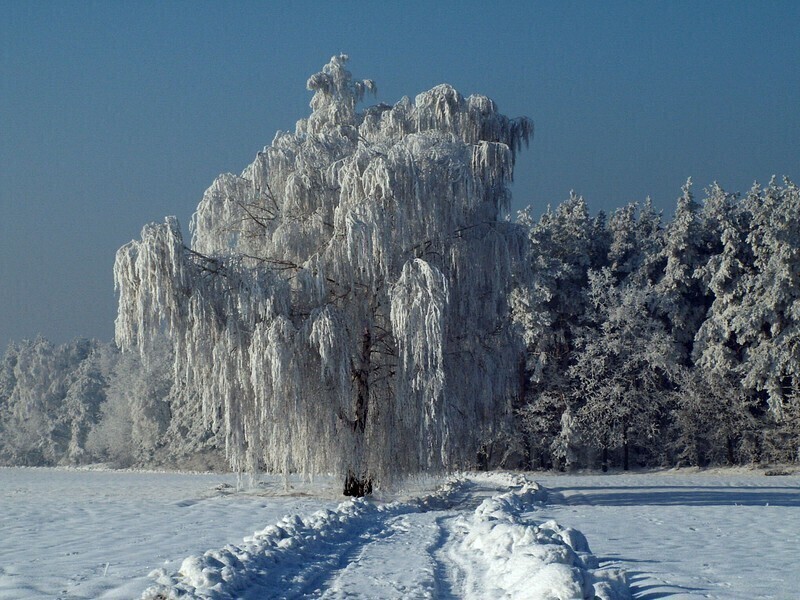 Zdjęcie 5: Zima potrafi być piękna