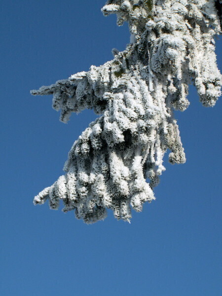 Zdjęcie 6: Zima potrafi być piękna