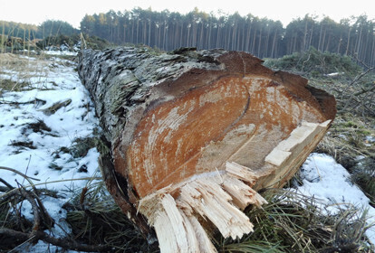 Ruszyły przygotowania do budowy obwodnicy Bełchatowa