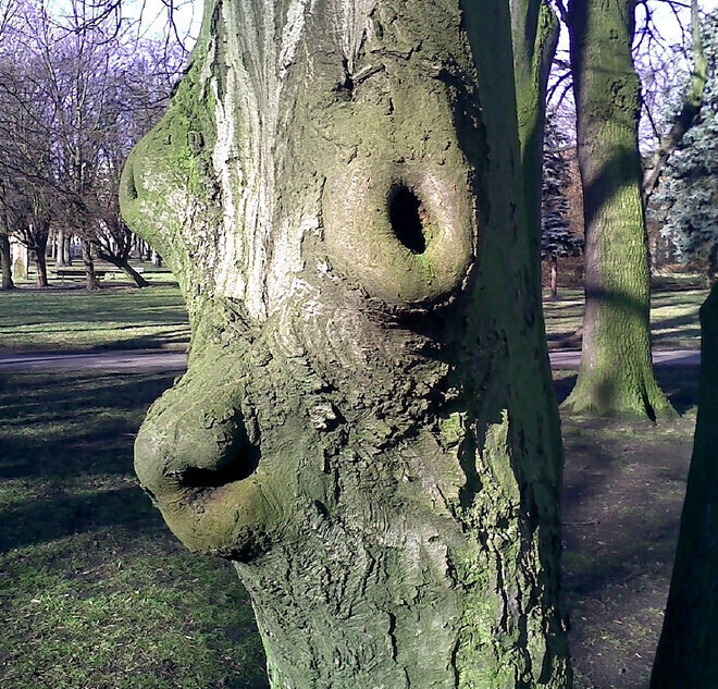 Zdjęcie 1: Tolkienowski stwór w piotrkowskim parku?