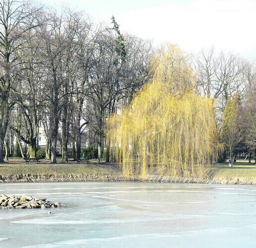 Zima już do nas nie wróci