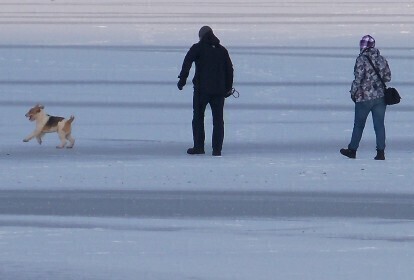Spacerował po lodzie - uratowali go strażacy