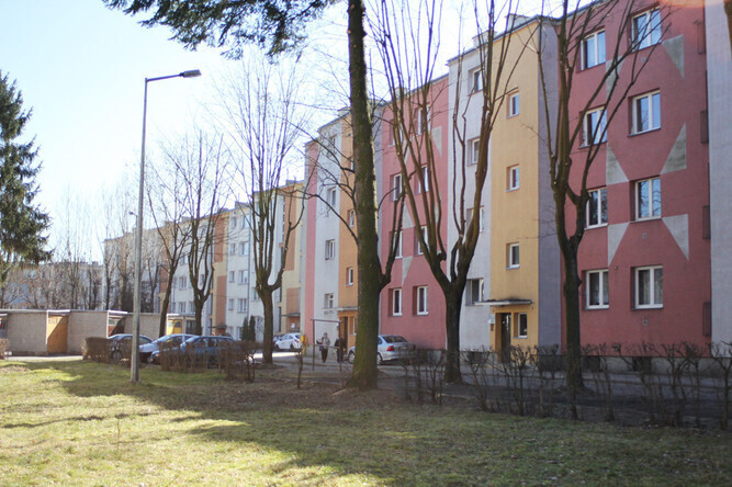 Drzewka owocowe kością niezgody na osiedlu Jagiellońska