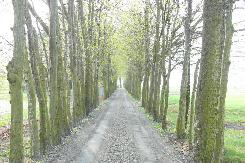 Zdjęcie 2: Związki z Piotrkowem autora kultowego Pana Samochodzika