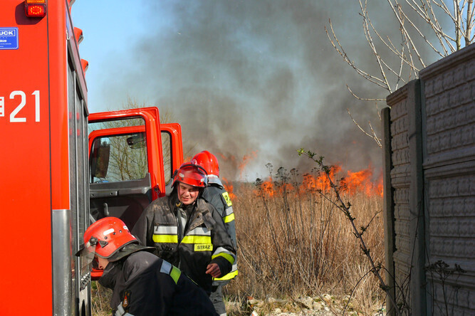 Zdjęcie 1: Płonęła łąka w okolicach stadionu 