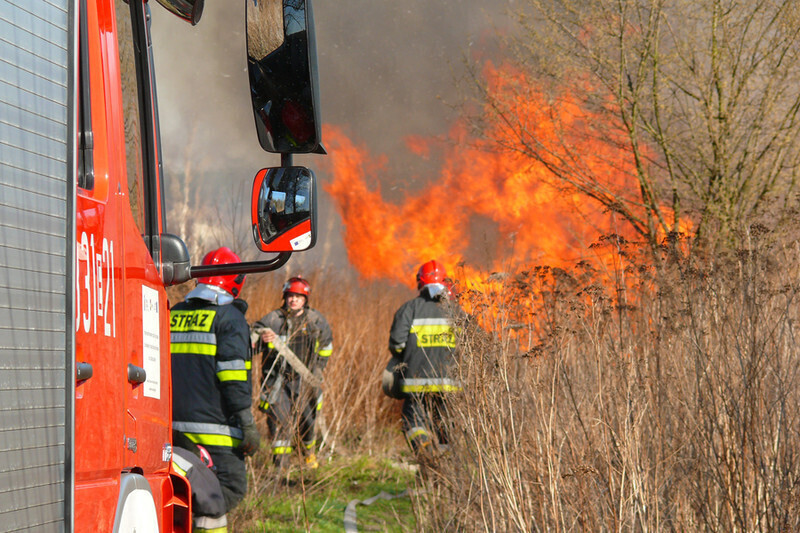 Zdjęcie 2: Płonęła łąka w okolicach stadionu 