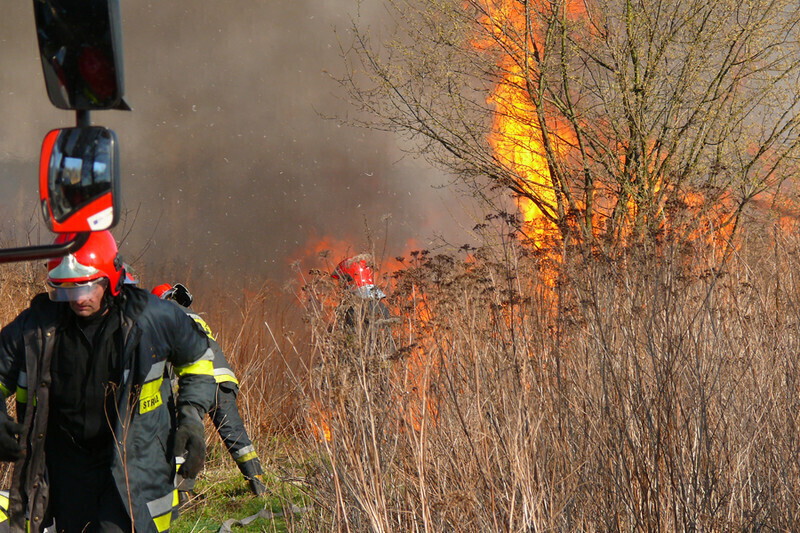 Zdjęcie 3: Płonęła łąka w okolicach stadionu 