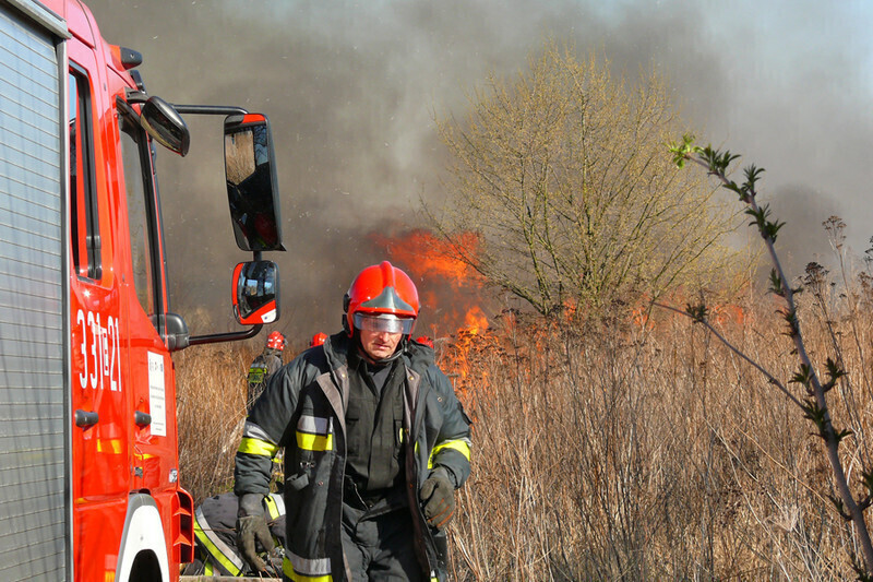 Zdjęcie 4: Płonęła łąka w okolicach stadionu 