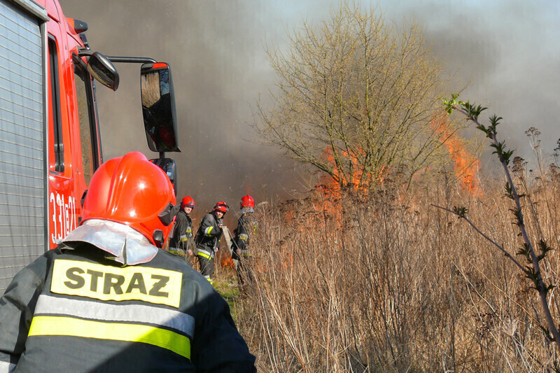 Zdjęcie 5: Płonęła łąka w okolicach stadionu 
