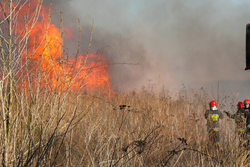 Zdjęcie 6: Płonęła łąka w okolicach stadionu 