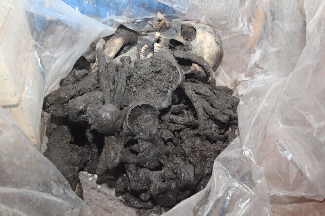 Zdjęcie 1: Wykopali ludzki szkielet przy 