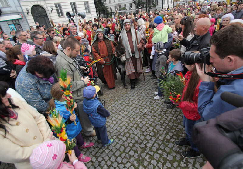 Zdjęcie 6: Uczcili wjazd Jezusa do Jerozolimy