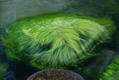 Innowacyjna tkanina z Piotrkowa trafi do sprzedaży