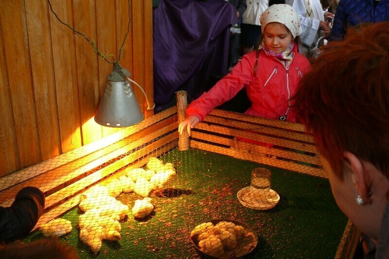 Zdjęcie 4: Takie święta raz na kilka lat