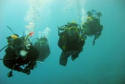 O czym warto wiedzieć przed rozpoczęciem przygody z nurkowaniem