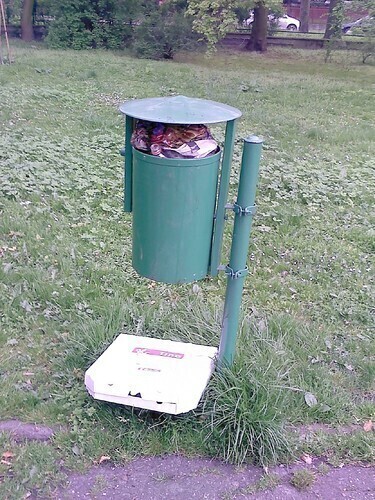 Zdjęcie 1: Przepełnione kosze, setki petów w miejskim parku