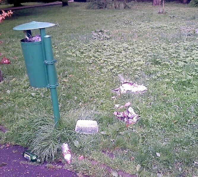 Zdjęcie 2: Przepełnione kosze, setki petów w miejskim parku