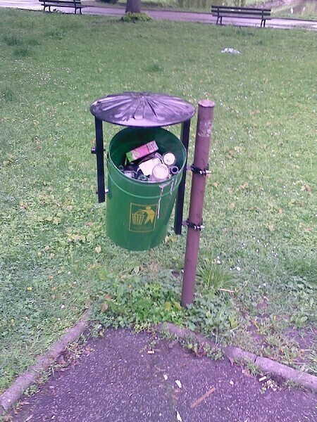 Zdjęcie 4: Przepełnione kosze, setki petów w miejskim parku