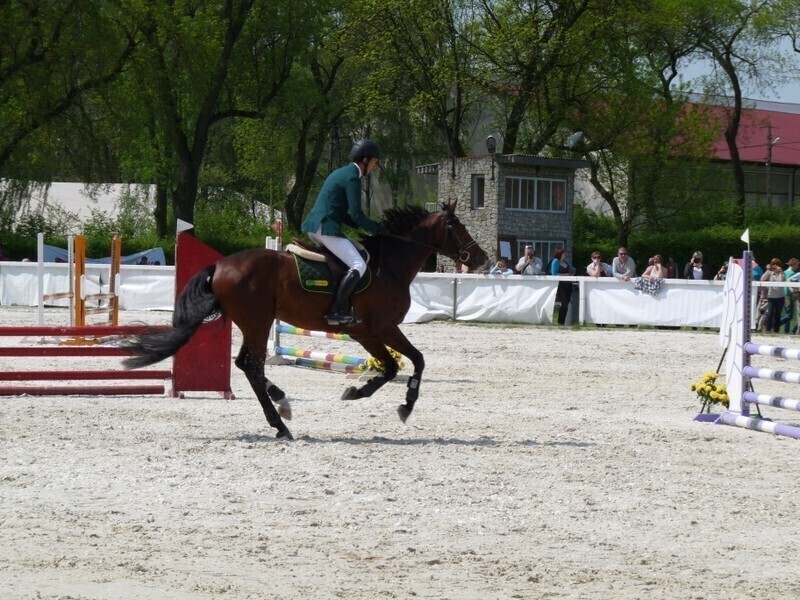 Zdjęcie 6: Majówka w Bogusławicach rozpoczęta