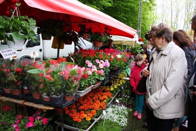 Piotrkowskie Targi Ogrodnicze przyciągnęły tłumy