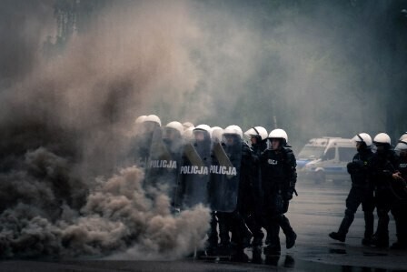 Zdjęcie 2: 7 rumaków z Tomaszowa z nowym atestem