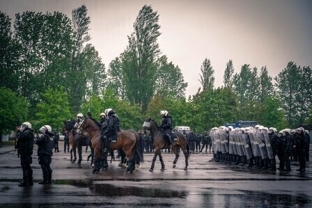Zdjęcie 3: 7 rumaków z Tomaszowa z nowym atestem