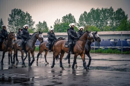 Zdjęcie 4: 7 rumaków z Tomaszowa z nowym atestem