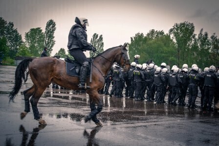 Zdjęcie 5: 7 rumaków z Tomaszowa z nowym atestem