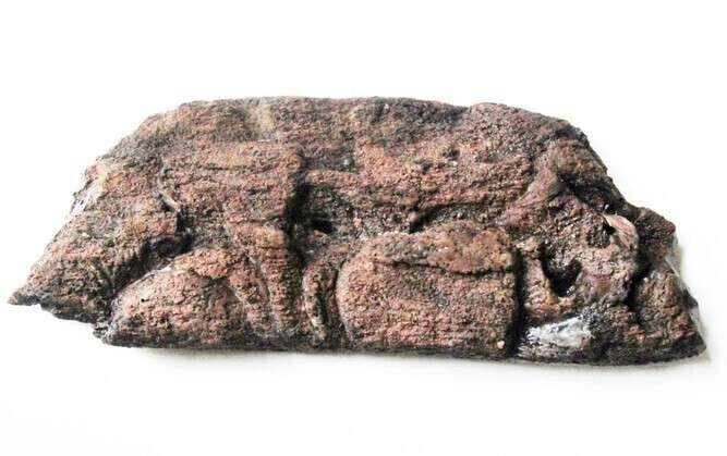 Skarb znaleziony na śmietniku ZDJĘCIA