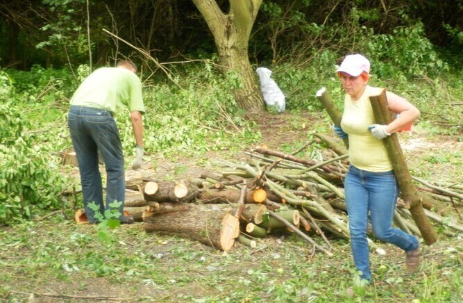 Czyn społeczny przy Wolborskiej w Piotrkowie
