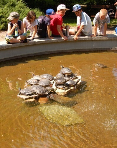 Podziwiali bogaty świat flory i fauny