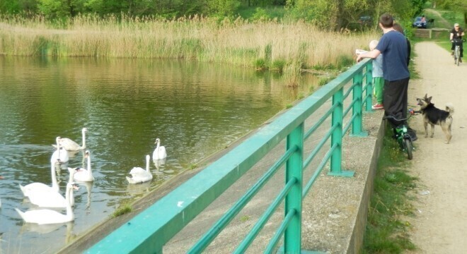Śródmieście i bugajskie błonia najważniejsze
