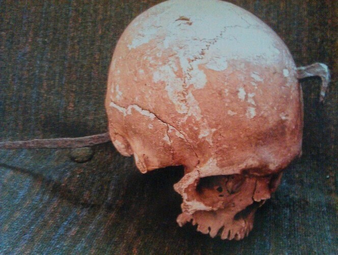 Wampir spod Piotrkowa... zwykłym szaleńcem