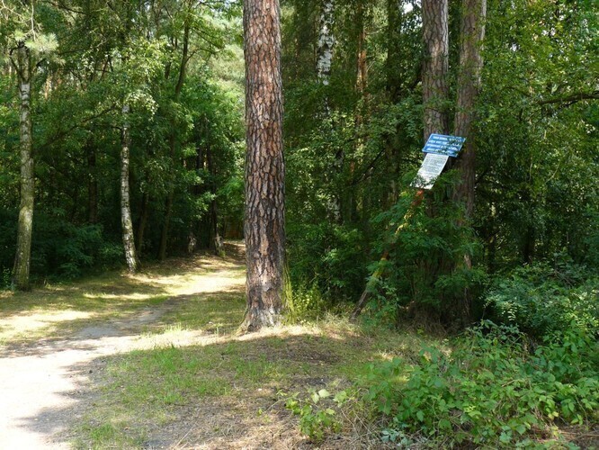 Porządkują Polankę w Sulejowie