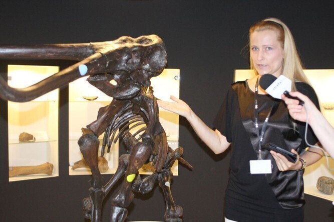 W wakacje odwiedź Giganty Mocy