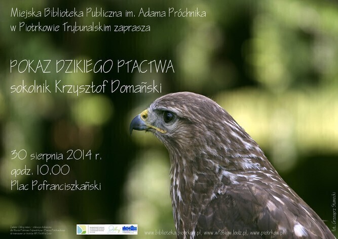 Pokaz dzikiego ptactwa na placu Pofranciszkańskim