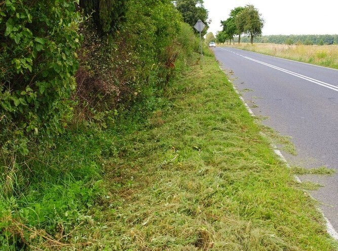 Mieszkańcy wzięli sprawy w swoje ręce